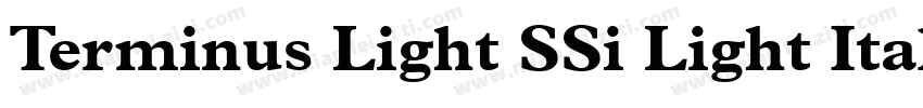 Terminus Light SSi Light Italic字体转换